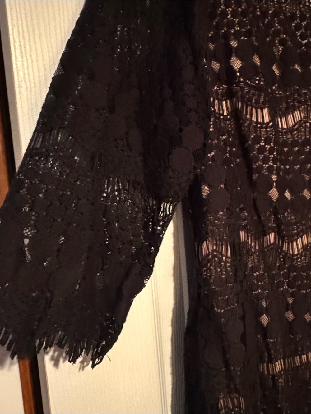 Jessica Howard Sz 16 W Black Lace Overlay Dress with Nude Lining - Picture 4 of 13